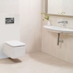 Кнопка смыва Alca Plast, хром матовая (M371)
